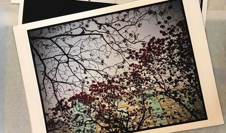 Plano Imaginário abre mostra na&nbsp;Castália