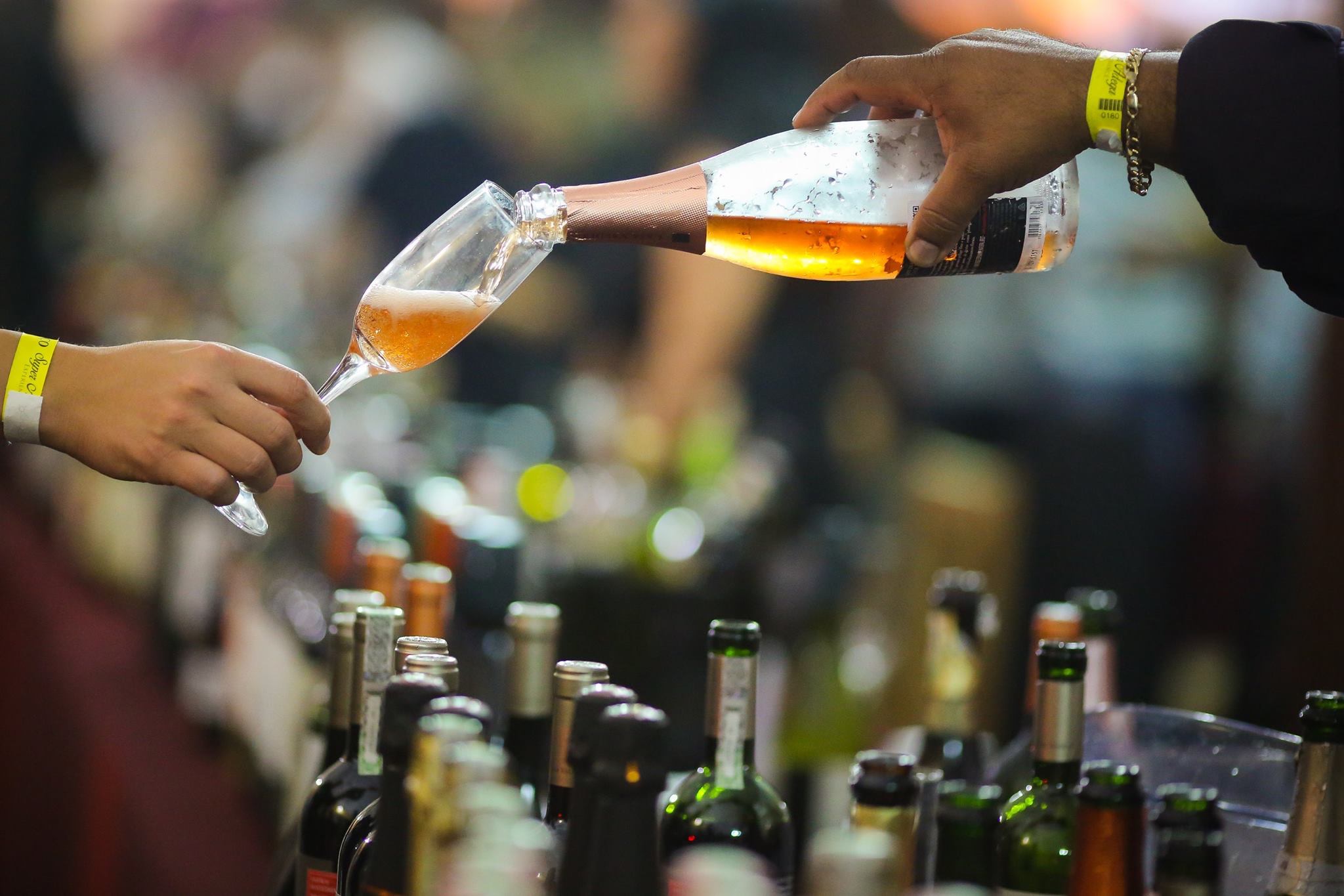 Super Adega Experience 2