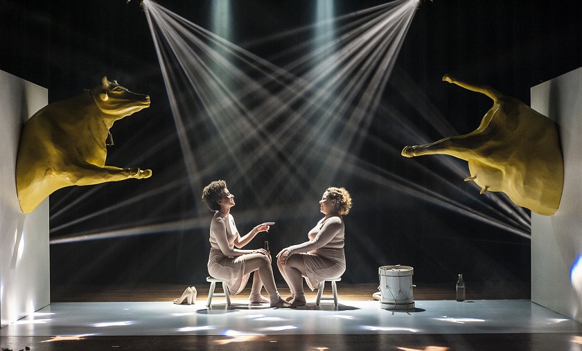 Copo de Leite _ Foto Diego Bressani