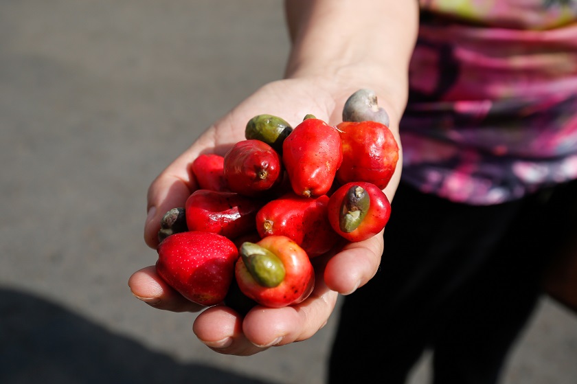 Shopping também é lugar de comprar&nbsp;orgânico