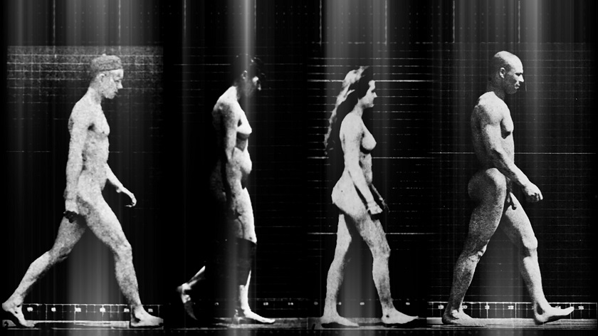 Duas exposições para ver no Museu&nbsp;Nacional