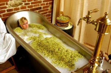 Spa Chodova Plana_ Pilsen