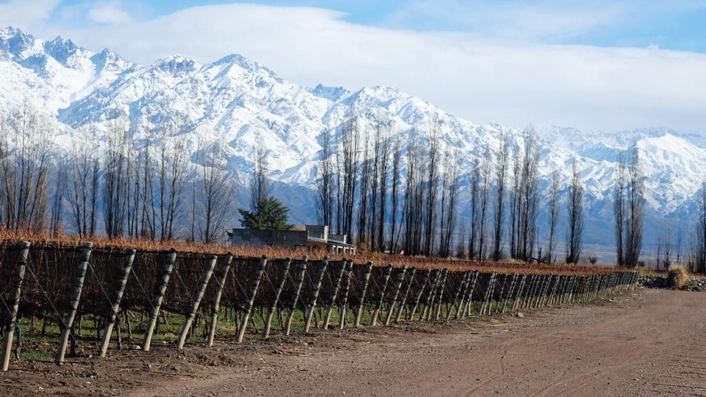Zuccardi Valle de Uco2