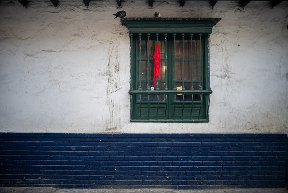 Coletivo-Covid-Latam-Federico-Rios-Colombia