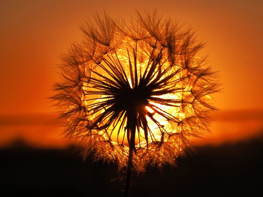 Mostra de fotos do Brasília Photo Show ocupa o Parque da&nbsp;Cidade