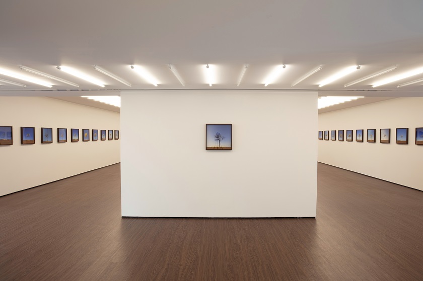 Casa_Albuquerque_Obras Pedro Motta_ Foto Pedro Motta