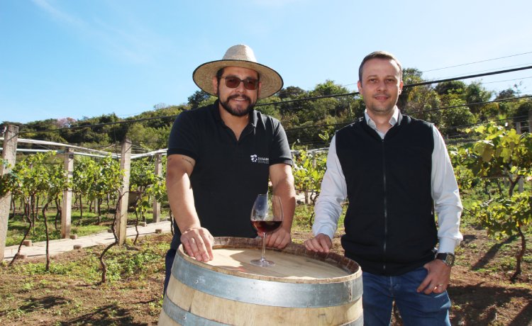 Vinhedo Lacustre/Foto: Divulgação